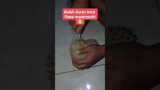 belah duren durianlokal belahduren durian [upl. by Swerdna]