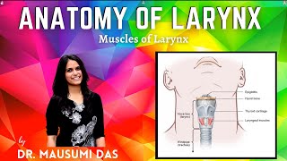 Muscles of Larynx  Origin Insertion Nerve supply Action [upl. by Ianaj]