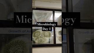 Day1 Microbiology daily practical science microbiology [upl. by Oirasec]