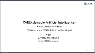 XAI Review  4 XAI in Computer VisionSaliency map TCAV latest methodology [upl. by Nylkcaj]