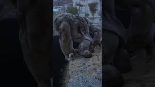 The Grafton Monster in Fallout 76 is Sad fallout fallout4 fyp shorts gaming fallout76 [upl. by Eiram]