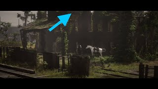 Ghost Orchid Hidden Location  Red Dead Redemption 2 [upl. by Iaht940]