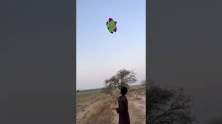 Kites flying scene movement in rural town❤️😎 [upl. by Fernande]