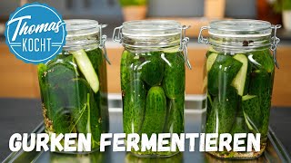 Fermentierte Gurken  super lecker und gesund [upl. by Farhsa]