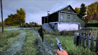 DayZ 047 Ragdoll Physics [upl. by Jilly]