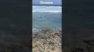 Maldives oceans shorts youtube [upl. by Wilone199]