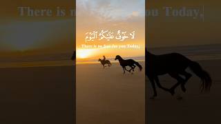 Beautiful Quran Recitation  Qari Sheikh Al Minshawi  Surah Zukhruf 68 🐎🌅 quranrecitation [upl. by Aniuqal147]