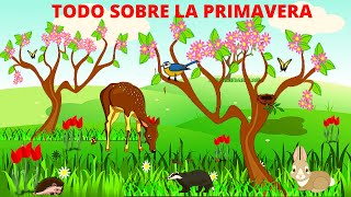 LA PRIMAVERA PARA NIÑOS TODO SOBRE LA PRIMAVERA En Español [upl. by Azelea]