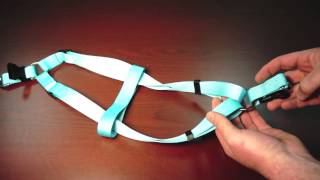 StepinHarness  Twisted Harness Correction [upl. by Aseel]