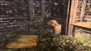 Skyrim The Pursuit Where to Find Mercers PlansEvidence [upl. by Auqcinahs]