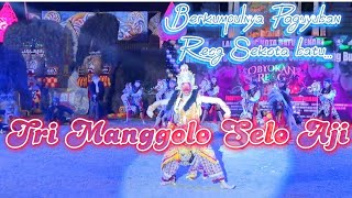 Pentas Padang Bulan Paguyuban Reog Sekota Batu quotTRI MANGGOLO SELO AJIquot [upl. by Kegan]