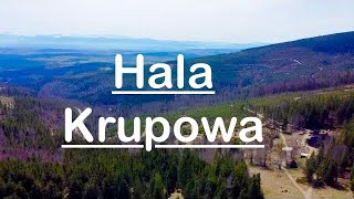 95Hala Krupowa Polica i Kiczorka 🇵🇱Piękne widoki na Tatry i na Babią Górę 4K Dron [upl. by Rivi393]