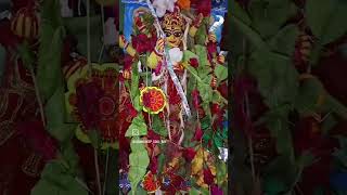 Amer banano Durga davi sanatandharmadurgapuja kolkata [upl. by Voletta]