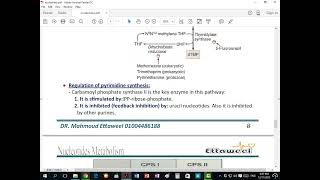 Pyrimidine Metabolism [upl. by Suzie]