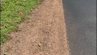 Backfilling your asphalt edges to add edge support and improve drainage [upl. by Noislla192]