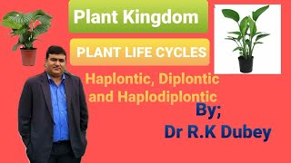 Haplontic Diplontic amp Haplo Diplontic Life Cycle  Plant Kingdom  CBSE Class 11 Biology [upl. by Enelrahc168]