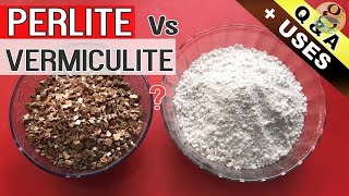 PERLITE vs VERMICULITE IN GARDEN SOIL  Benefits and Difference Between Perlite and Vermiculite [upl. by Stephenie]