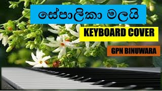 Sepalika Malai Song Simple Chords Touch [upl. by Veronike445]