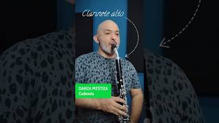 Cadenza for alto clarinet fragment Marco Mazzini [upl. by Jezabelle947]