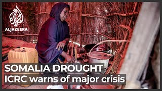 Somalia drought ICRC warns of major humanitarian crisis [upl. by Yardna]