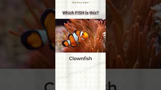 Which FISH is this english vocabulary quiz [upl. by Heigl853]