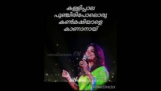 kadukumanikkoru kannundu sithara lyrics full [upl. by Sarilda]