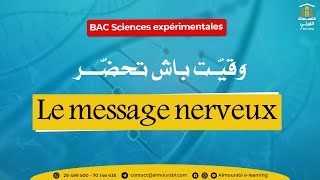 BAC Sciences expérimentales  SVT  2ème trimestre  Le message nerveux [upl. by Attelrahc]