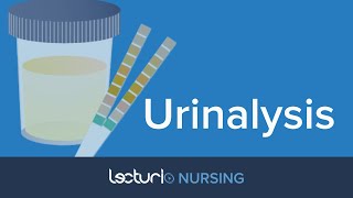 Urinalysis What Does It Tell You  Medical Surgical Nursing [upl. by Jeremie559]