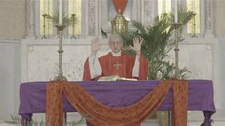 Palm Sunday Mass April 5 2020 Fr Richard Fragomeni and the Augustinians [upl. by Grani447]