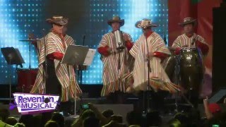 Reventón Musical Guacharacos de Colombia quotCumbia de los Kissquot [upl. by Gerstner]