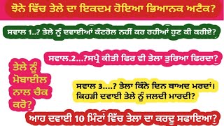 ਝੋਨੇ ਵਿੱਚ ਤੇਲੇ ਆ ਗਿਆ।ਤੇਲਾ ਕੰਟਰੋਲ ਨਹੀਂ ਹੋ ਰਿਹਾ।भूरा माहू कन्ट्रोल नही हो रहा क्या करे।bph control [upl. by Andri369]