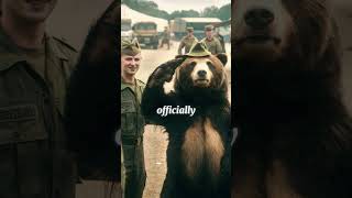 Wojtek The BeerDrinking Bear of World War IIhistory facts shorts [upl. by Bowen]