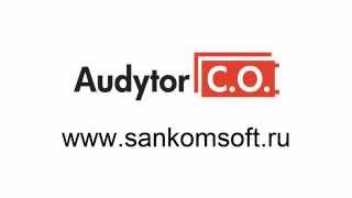 214  Audytor CO – Общие данные  Руководство пользователя – Плоская схема [upl. by Ahseret305]