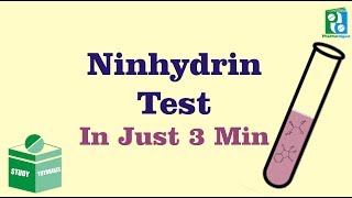 Ninhydrin Test Just in 3 min [upl. by Erminia]