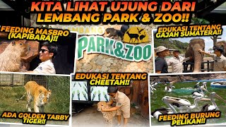 MELATIH MASBRO  SATWA YANG PALING RAMAH DI DUNIA  TERNYATA INI UJUNGNYA LEMBANG PARK AND ZOO [upl. by Oretna]