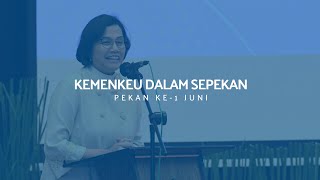 Optimisme Kerangka Ekonomi Makro dan Kebijakan Fiskal 2024 [upl. by Ecar]