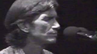 Townes Van Zandt  For the Sake of the Song [upl. by Ahsennek]