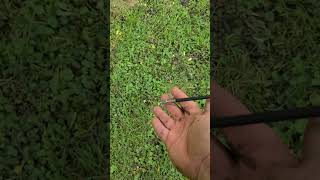 2 Blade Rage Hypodermic Penetration Test broadhead archery mathewsarchery hunting [upl. by Orelia]