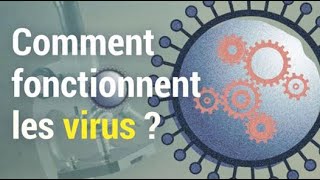 Comment fonctionnent les virus  Histoires de virus 🦠 [upl. by Adaurd]