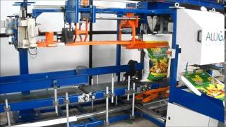 Automatic Bagging Machine [upl. by Jewell522]