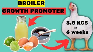 NO 1 Trusted Natural Broiler Growth Promoter  Growth Booster for Broilers [upl. by Fortunia]