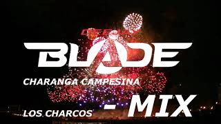 Charanga Campesina  Los Charcos  Pro Dj Blade [upl. by Lama]