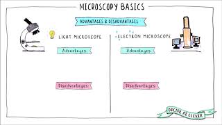 MICROSCOPY BASICS AQA 91 GSCE Biology Topic 1 Cell Biology [upl. by Kattie]