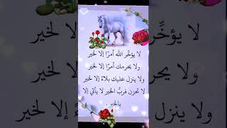 لا يؤخر الله أمرًا إلا لخير ولا يحرمك أمرًا إلا لخير [upl. by Bunni]