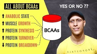 All about BCAAs in One Video [upl. by Ellison483]