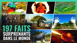 197 Faits SURPRENANTS dans le MONDE [upl. by Yennej]