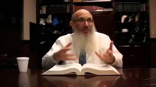 The Inner Workings Of Bodily Impurities  Rabbi Spalters Class On Parahas Tazria  Metzora 5773 [upl. by Johnsson]