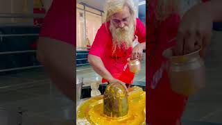 ओम नमः शिवाय 🕉️🔱❤️ bholenath trending viralvideo mahakal जैबाग [upl. by Filippa]