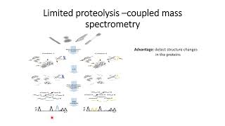 Limited Proteolysis Coupled Mass Spectrometry Detect Structural Changes in proteins Code 213 [upl. by Enelaj]