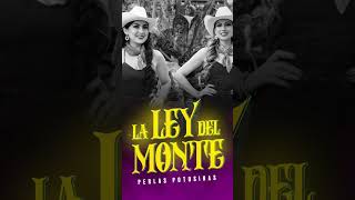 Perlas Potosinas  La Ley Del Monte  Morena Music  shorts [upl. by New]